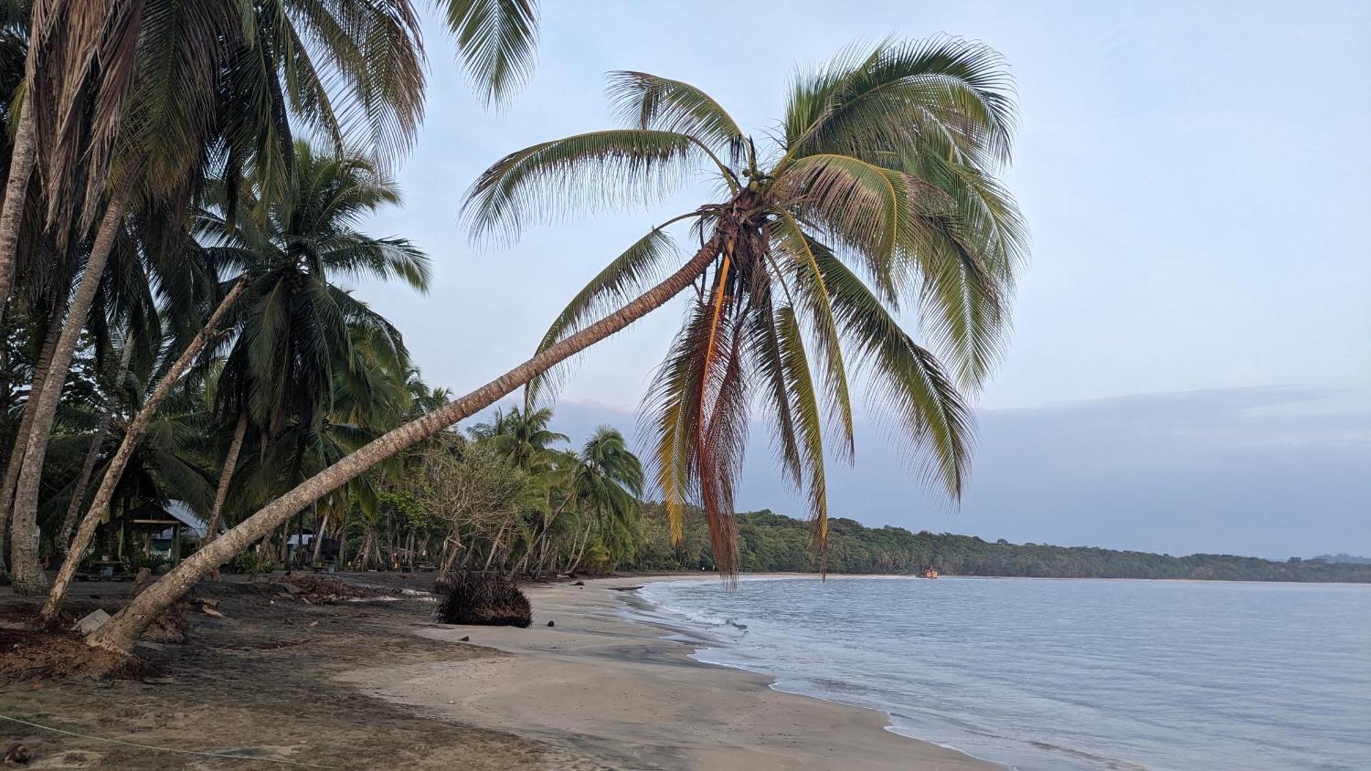 Casas Del Mar Villa Manzanillo  Eksteriør billede